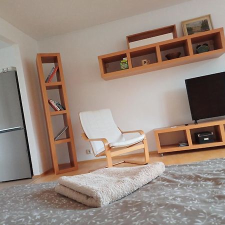 Apartman Dvorak 194 Pod Svatou Horou Příbram Eksteriør billede