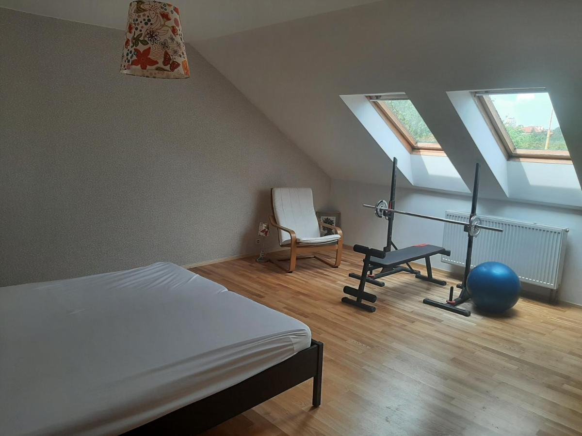 Apartman Dvorak 194 Pod Svatou Horou Příbram Eksteriør billede