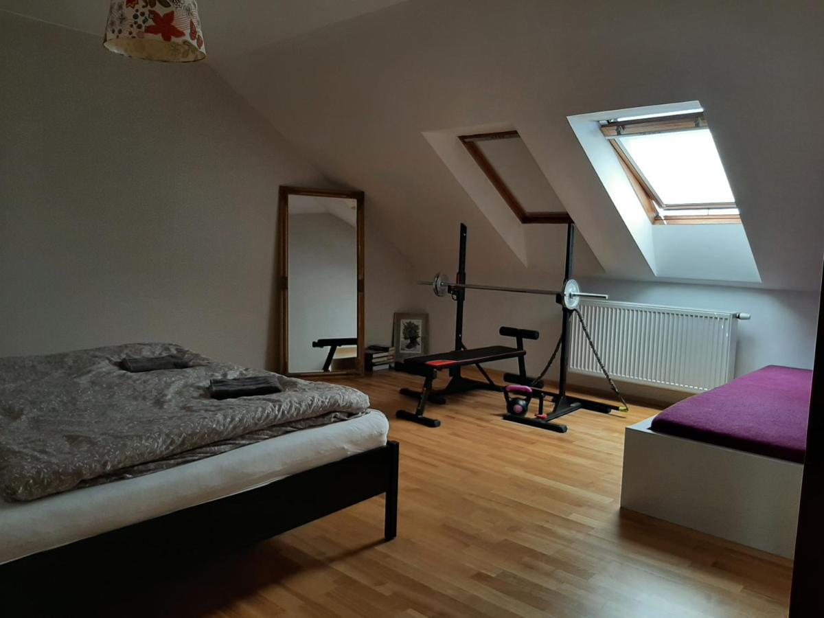 Apartman Dvorak 194 Pod Svatou Horou Příbram Eksteriør billede