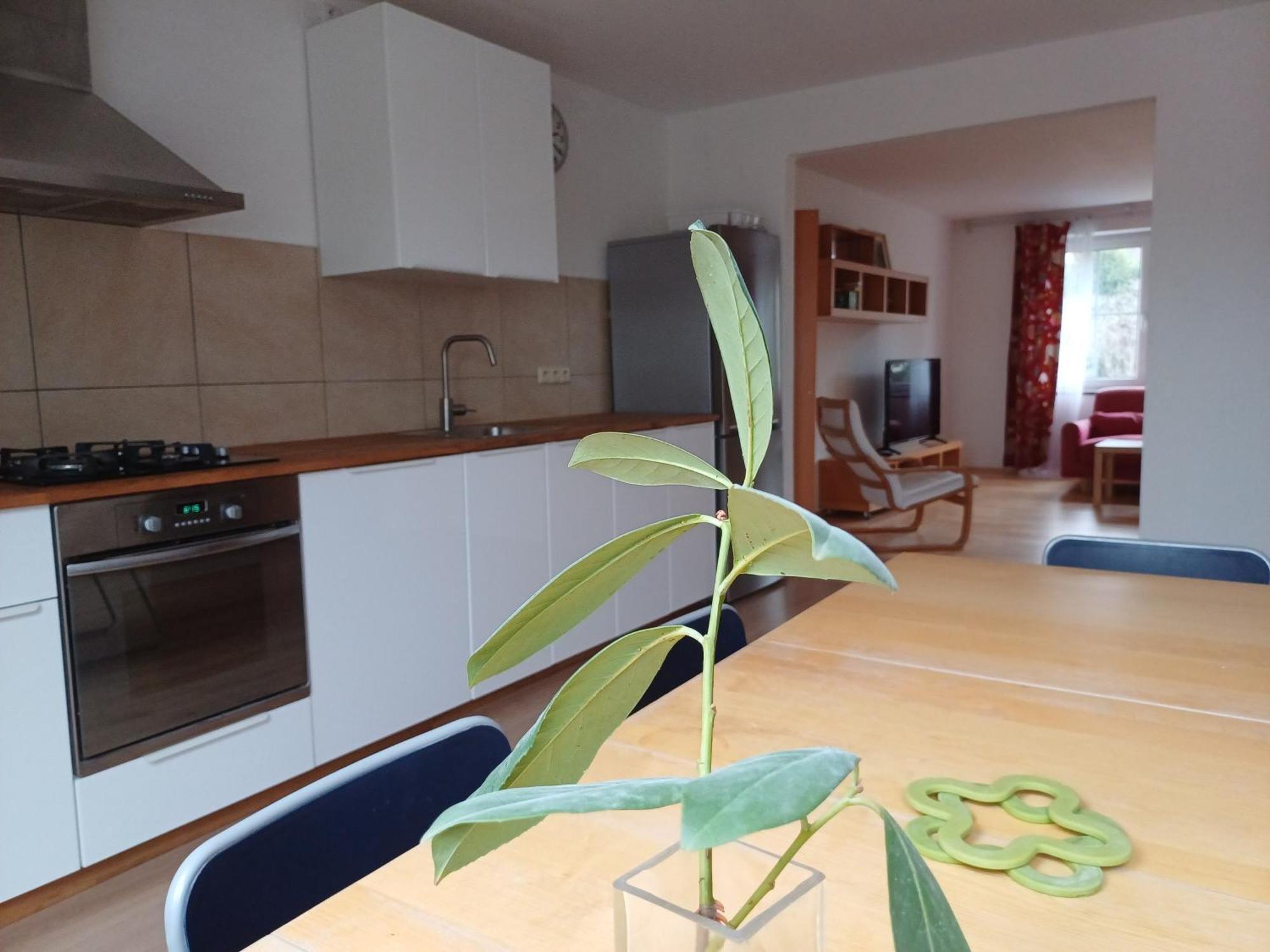 Apartman Dvorak 194 Pod Svatou Horou Příbram Eksteriør billede